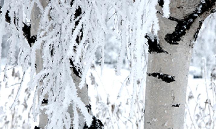 cover_nordic_school.jpg